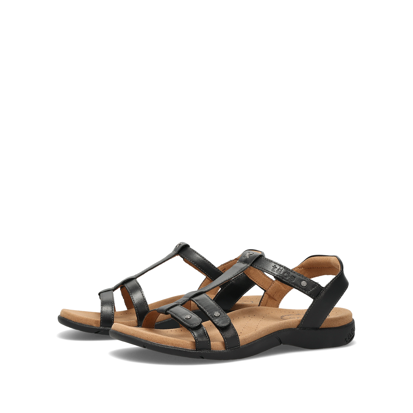 Trophy 2 - Image 6