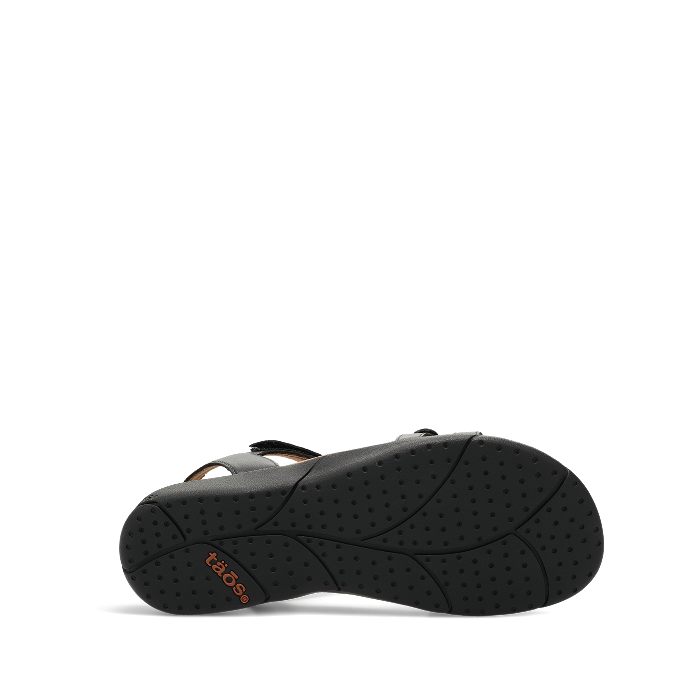 Trophy 2 - Image 5